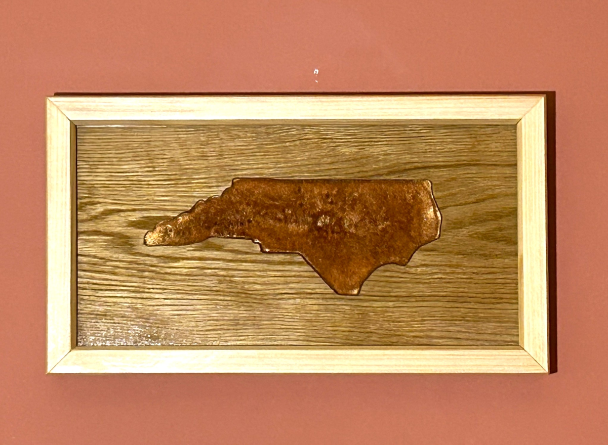 Your State's Image in Resin Wall Art