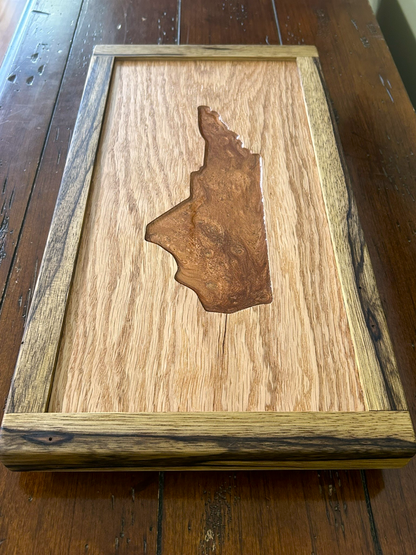 Your State's Image in Resin Wall Art
