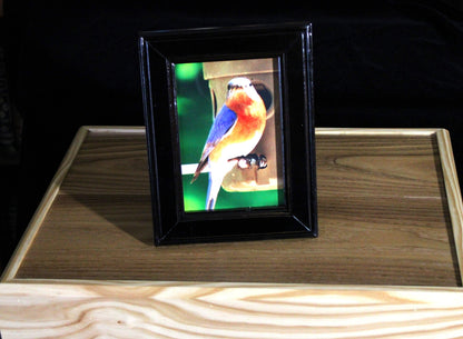 Lacquered Picture Frame