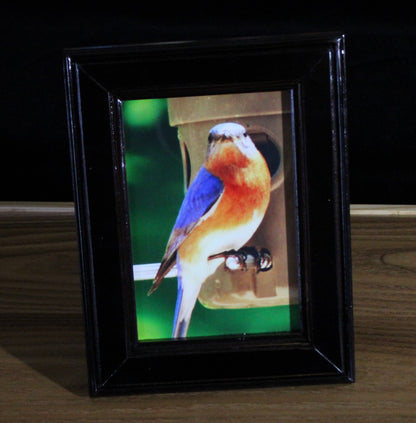 Lacquered Picture Frame