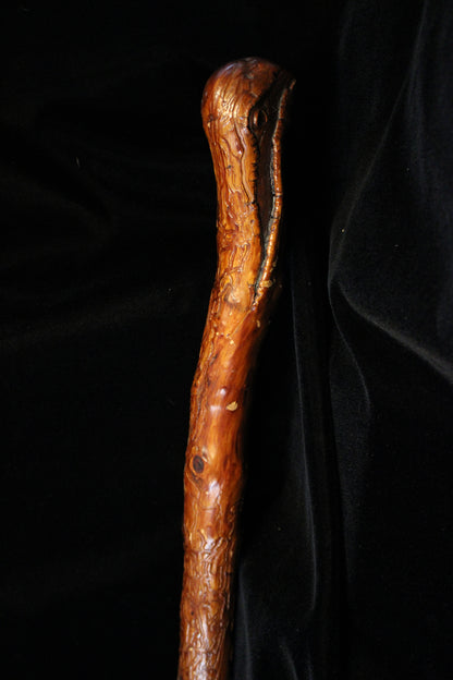 Artsy Walking Stick