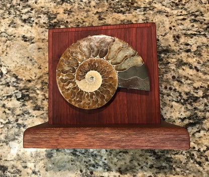 Fossil Artwork #12