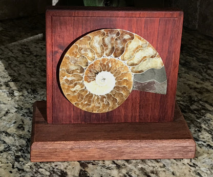 Fossil Artwork #12