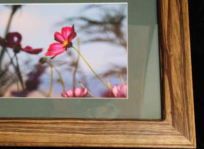 Limba Heartwood Picture Frame w/ Textured Matte