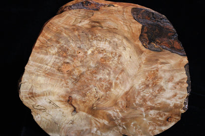 Maple Burl Artwork #11